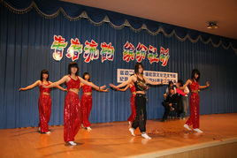 青春飞扬，文化交融——延边二中首届社团文化节文艺汇演圆满举行