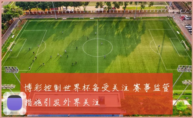 博彩控制世界杯备受关注 赛事监管措施引发外界关注