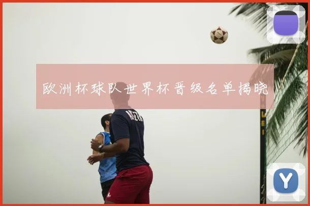 欧洲杯球队世界杯晋级名单揭晓