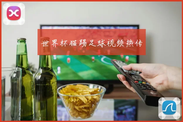 世界杯猫踢足球视频热传