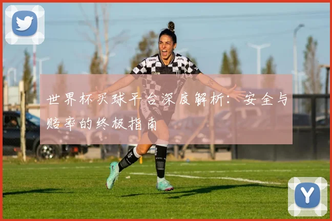 世界杯买球平台深度解析:安全与赔率的终极指南
