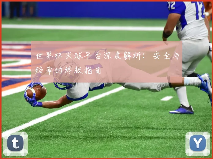 世界杯买球平台深度解析:安全与赔率的终极指南