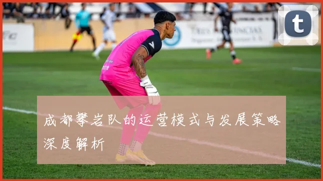 成都攀岩队的运营模式与发展策略深度解析