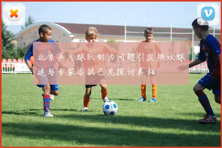 北京乒乓球队耐力问题引发热议球迷与专家各执己见探讨真相