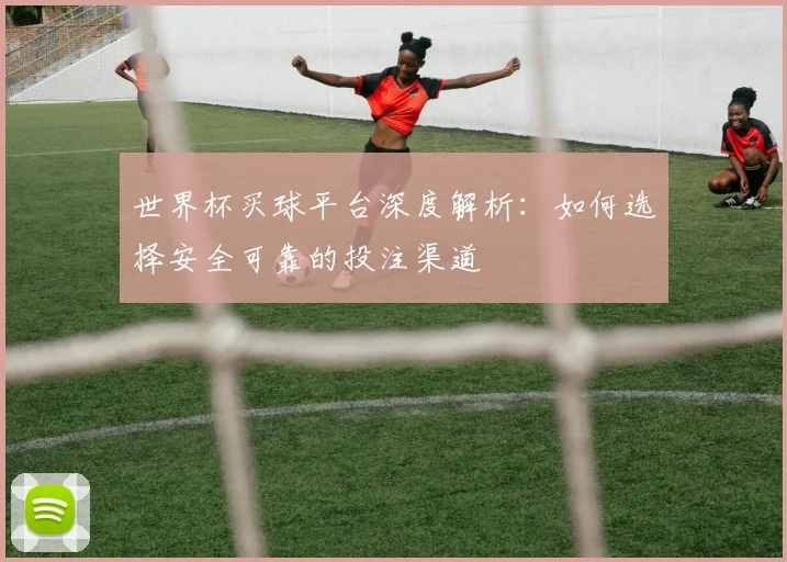 世界杯买球平台深度解析:如何选择安全可靠的投注渠道