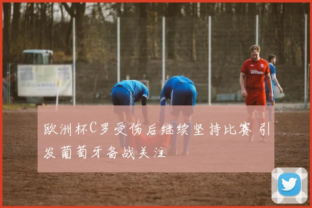 欧洲杯C罗受伤后继续坚持比赛 引发葡萄牙备战关注