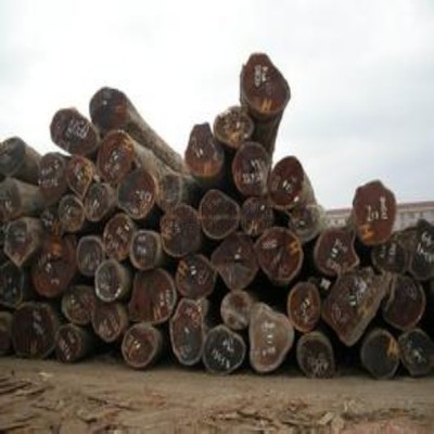 柳桉木防腐木企业文化交流活动在莆田丰狮木材加工厂成功举办